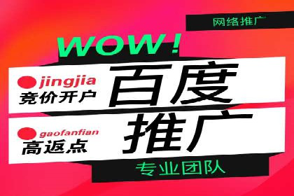 百度推广托管的成功策略：多角度解析案例